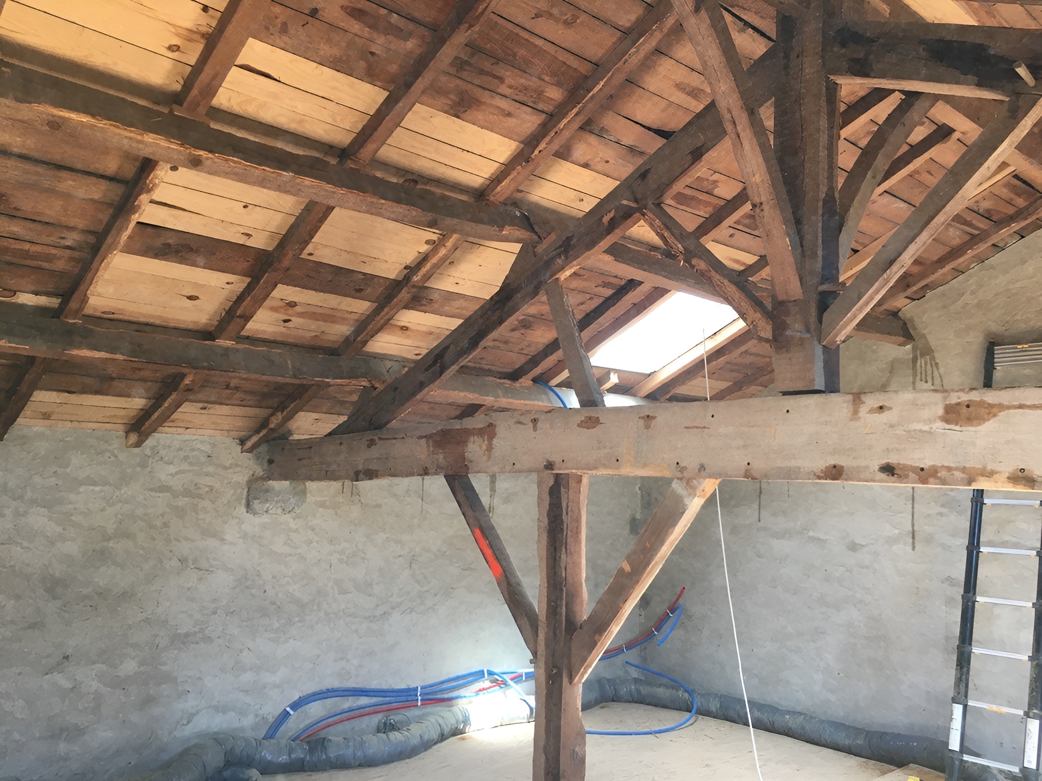 Protect Bois Habitat Langon